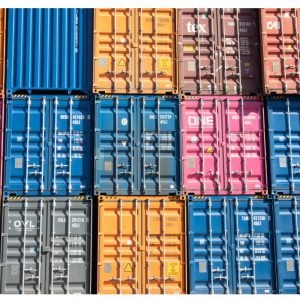 2025/03/25 <br>Export nel 2024